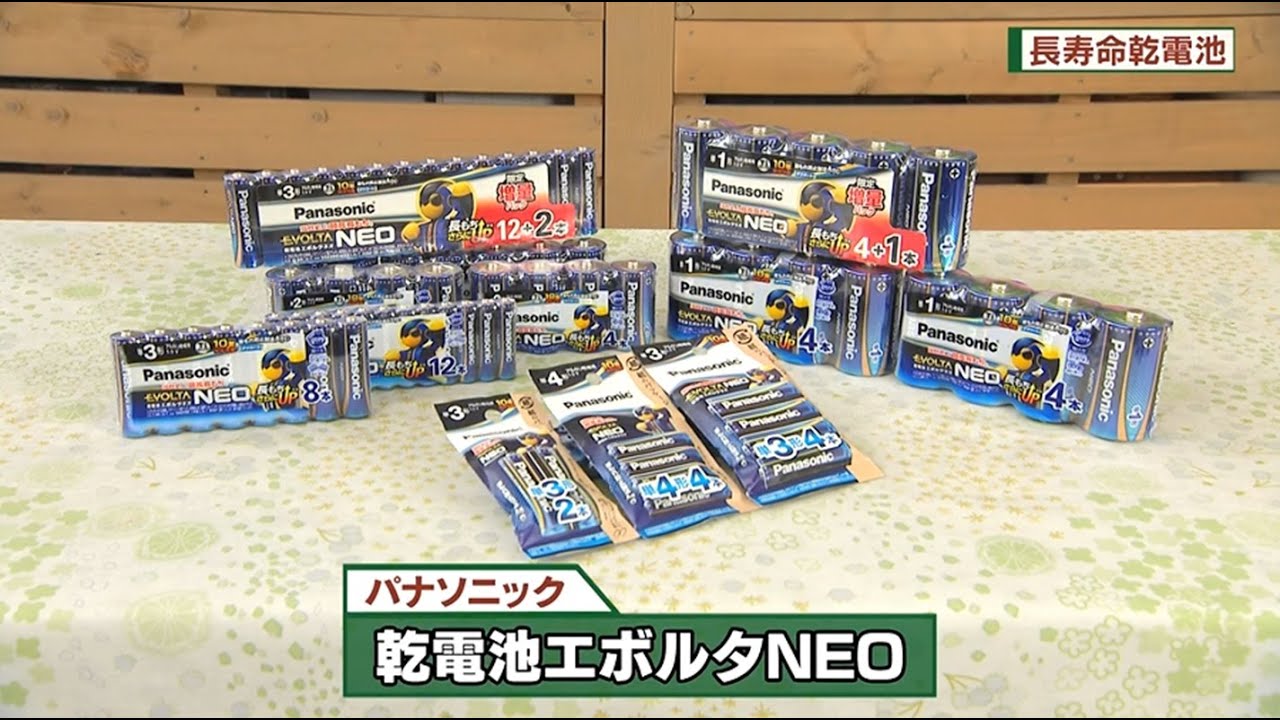 【永池】 Energizer アルカリ乾電池 単6形(AAAA) E96 ×10本 エナジャイザー