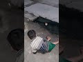 kis type ke video mein jaaun jo raato raat viral ho jaaye