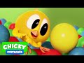 Onde está Chicky? 2020 | AMOR À PRIMEIRA VISTA | Desenhos Animados Infantil