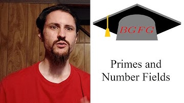 Primes and Number Fields
