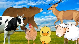 Name familiar animals: goat, sheep, rhinoceros, seahorse, ... by Animal Paradise 42,829 views 1 year ago 8 minutes, 39 seconds