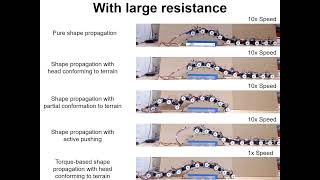 Celebrity Snake robot traversing large obstacles using vertical bending with force feedback Net Worth