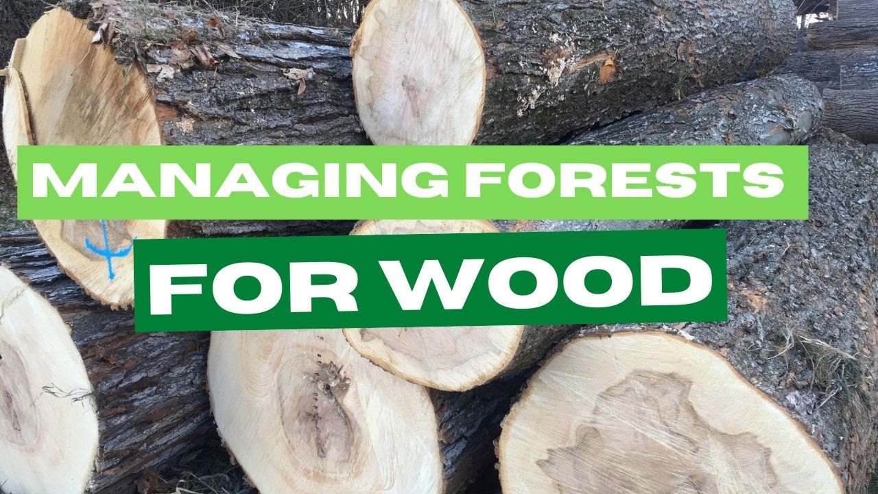 Managing Forests for Wood Sustainable Forest Management for Local