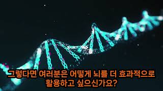 뇌의 잠재력: 뇌를 100% 활용하면?인간은 뇌의 10%만을 사용한다