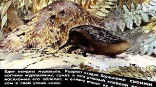 У КОГО ЯЗЫК ДЛИННЕЕ? КТО КУСАЕТ МЕРТВЫЙ? У КОГО ЯЗЫК ДЛИННЕЕ? КТО КУСАЕТ МЕРТВЫЙ?
