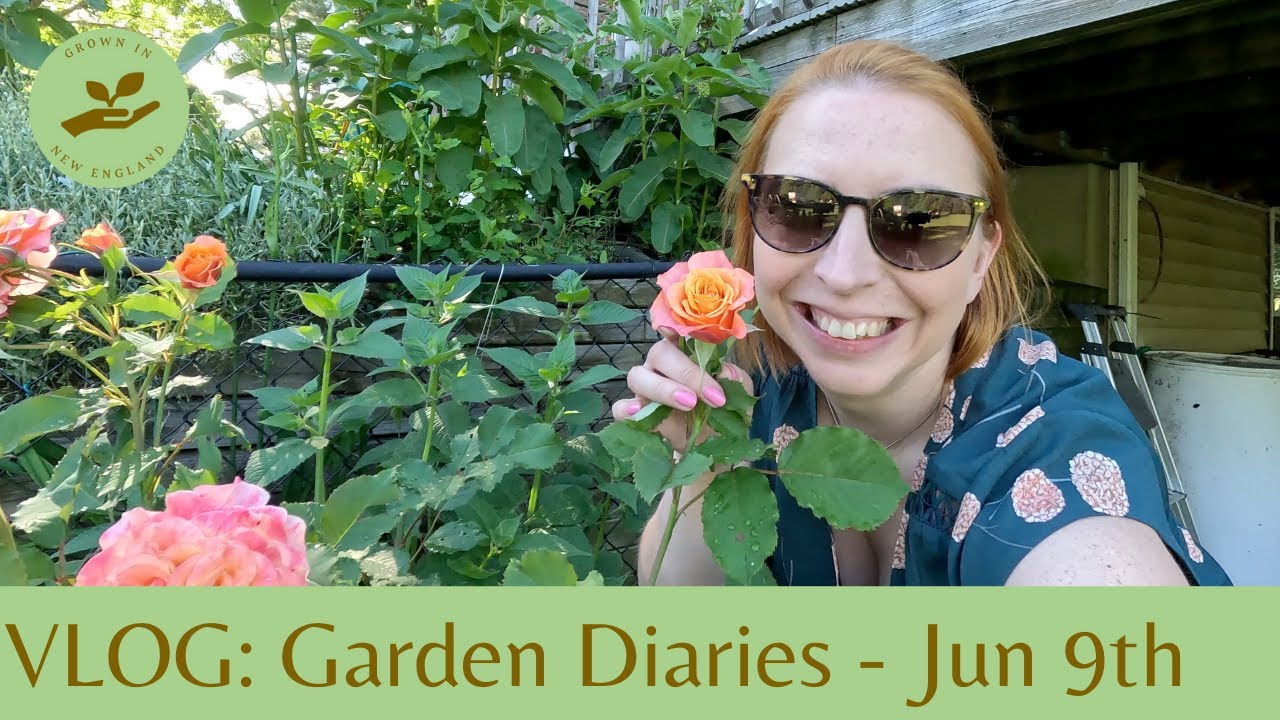 Garden Diaries 19: Behind the Scenes