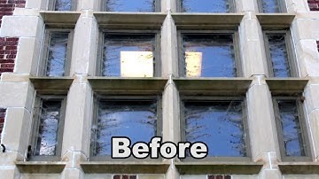 Remove Webs and Kill Spiders with Web Out