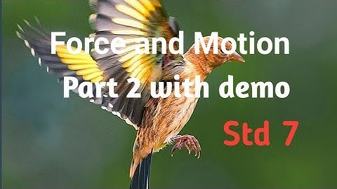 7th Science Term 1 Unit 2 Force and Motion (part 2 with demo)