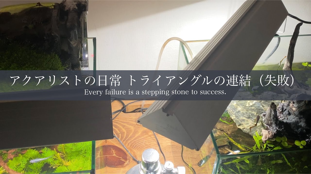 アクロ トライアングルを連結させて吊り下げたい 【アクアリウム