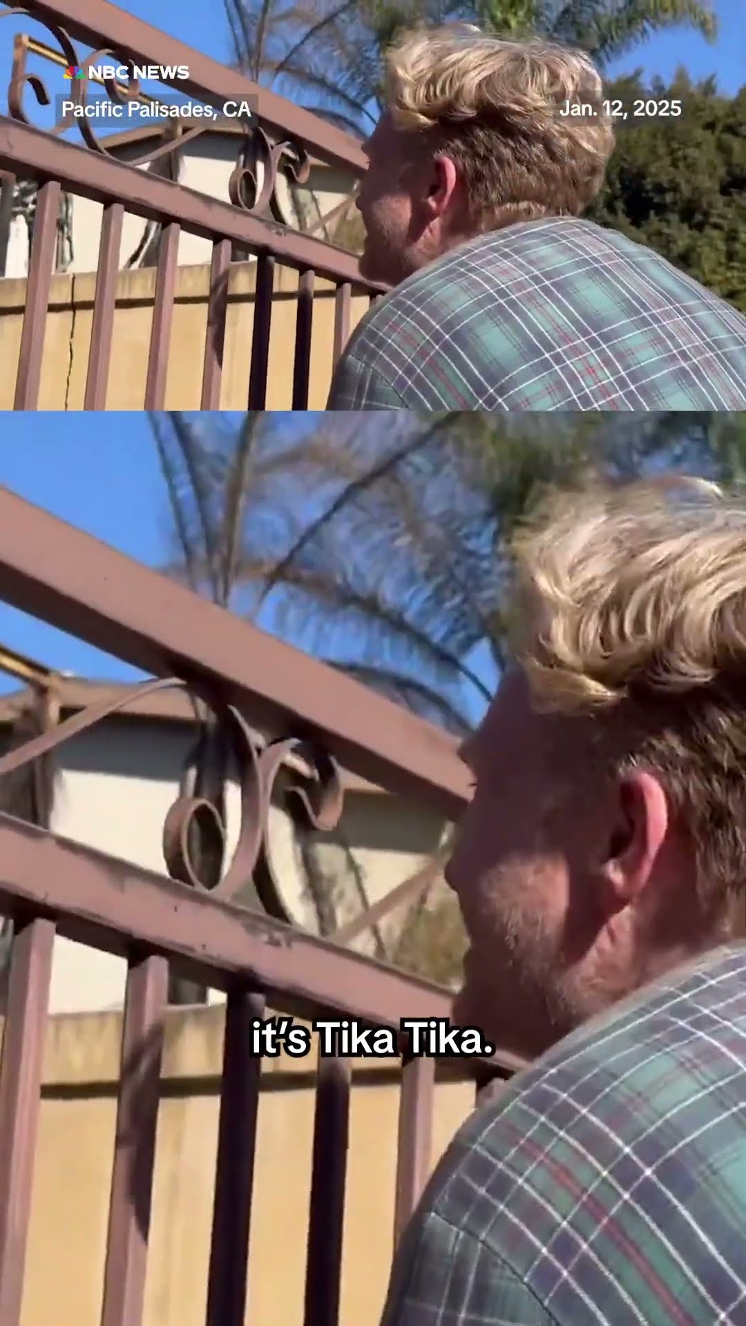 Man reunites with dog who went missing amid California wildfires