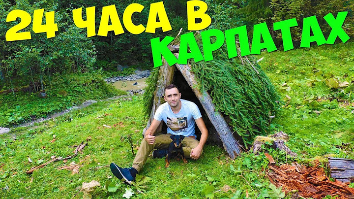 Выживание 24 часа в Карпатах Медведь Ловля форели острогой Шалаш из бревен
