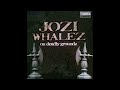 Jozi whalez  w johnny mnemonic  the end is coming 2008