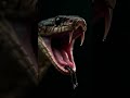 दुनिया का सबसे जहरीला सांप Inland Taipan #snake #dangerous #reptiles #reels #facts