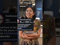 ¿Conoces el Partido Cucarachas en India?