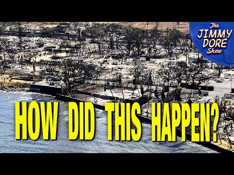 How Did The Devastating Maui Fires Really Start?