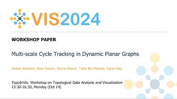 Multi-scale Cycle Tracking in Dynamic Planar Graphs - Fast Forward | VIS 2024