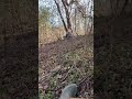 Hunting #crash #dirtbike #real #xyzbca #fyp