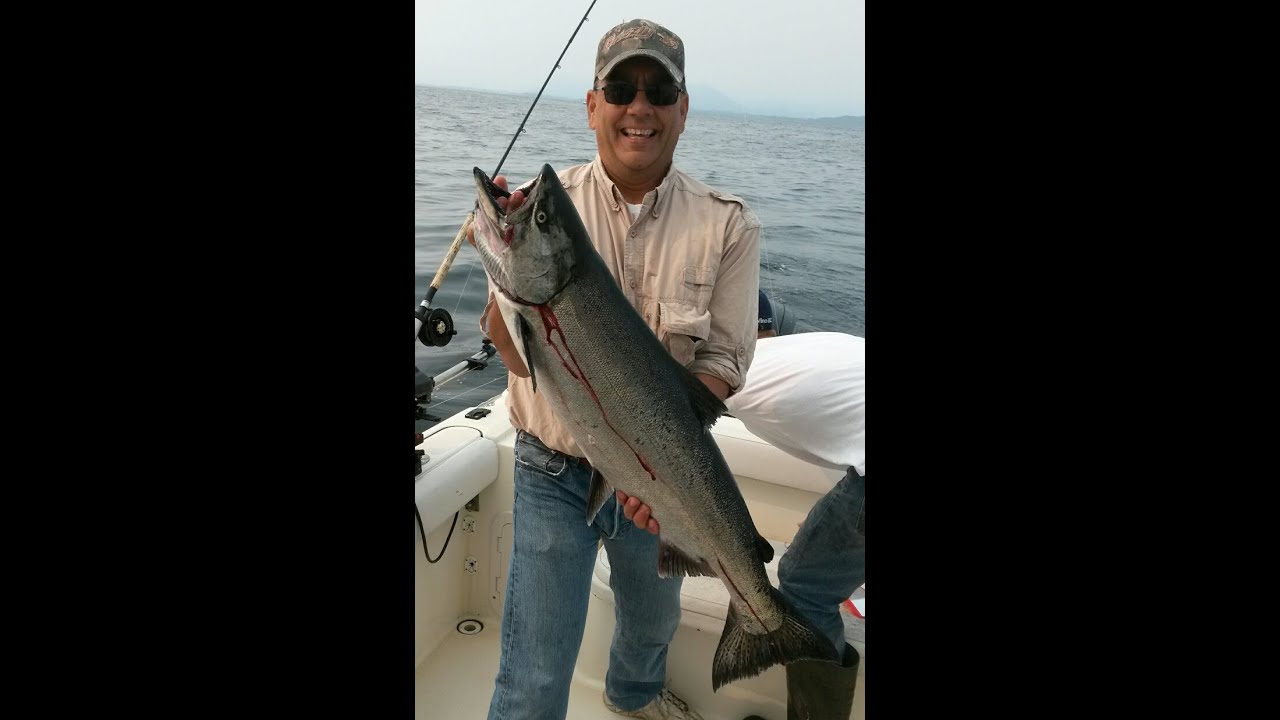 Salmon Fishing 2015 - YouTube