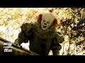 Eaglemoss - Horror - Pennywise (IT: chapter two - 2019