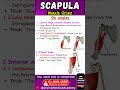 Easy Way to Remember Scapula Muscle Origins (Part 1) | Dr Jinal Medical Academy