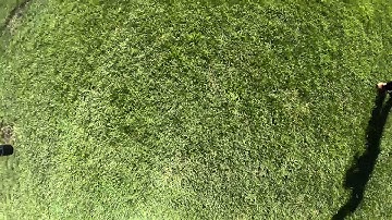 Drone tries to crash into me: 3D Robotics Iris+ low battery test.