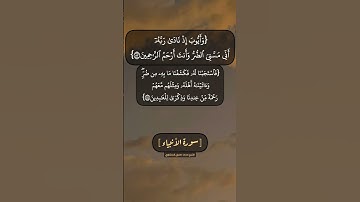 سورة الأنبياء الآية ٨٣ الى ٨٦ بصوت الشيخ محمد صديق المنشاوي