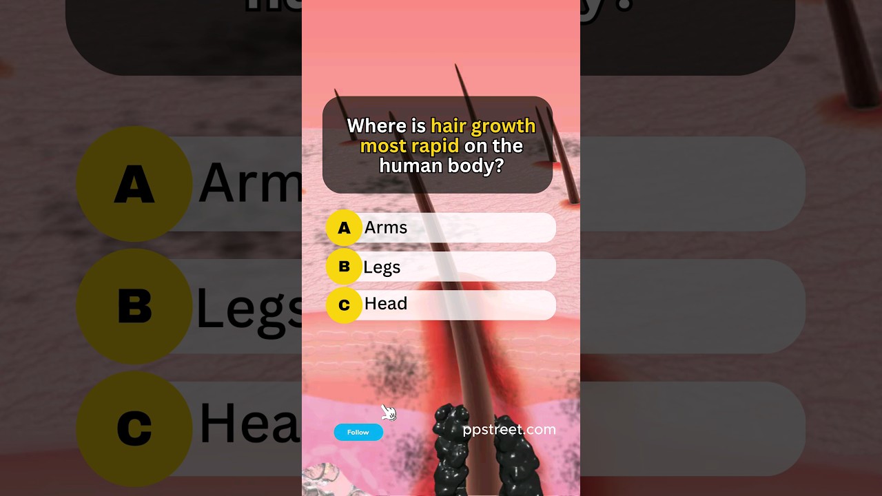 👉How many correct answer did you get? 