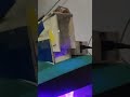 DIY Fish Feeder Using ESP8266. #SmartAquarium#FishFeeder #ESP8266 #project#Arduino#AutomatedFeeder