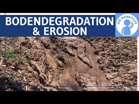 Video: Wie verhindert die Vegetation die Bodenerosion?
