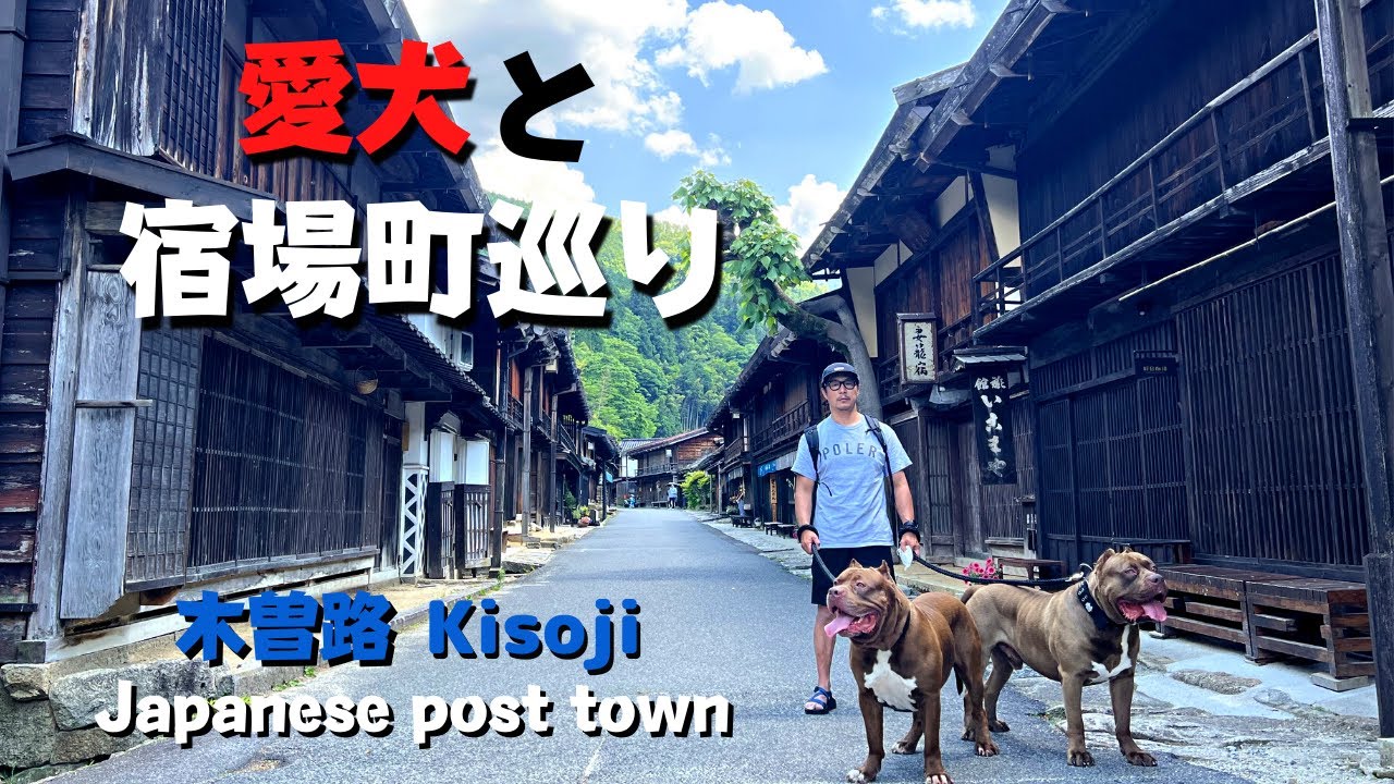 【犬連れ車中泊旅】木曽路宿場町巡り 江戸時代にタイムスリップ！Japanese post town tour. Travel back in time to the Edo period!