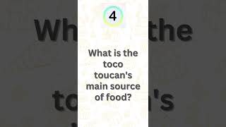 What is the toco toucan's main source of food | 5sec Quiz screenshot 4