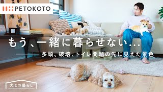 【犬との暮らし】家族になりたくて迎えたはずなのに...めちゃくちゃにされた家、犬同士の関係性...こんなはずじゃなかった。