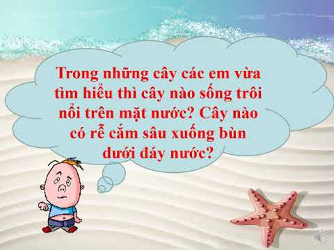 [TNXH 2] Cây sống ở đâu (t2) - Tuần 26