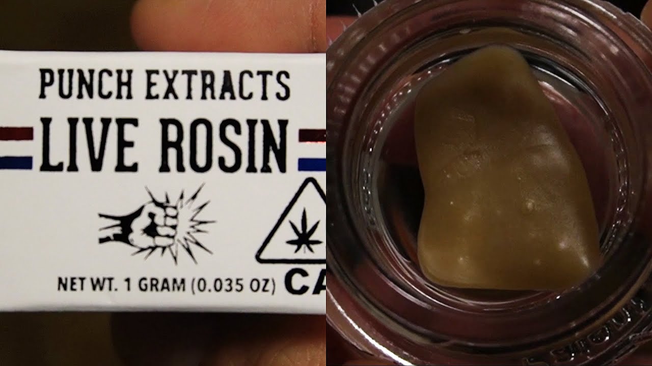 PUNCH EXTRACTS GRAPE APE LIVE ROSIN