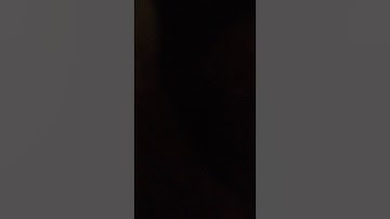 معاذ العمري.تلاوه