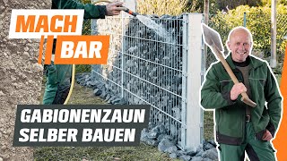 Gabionenzaun selber bauen | OBI