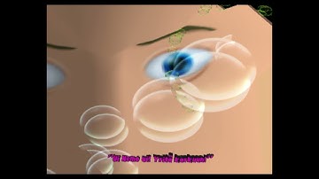 Finding Nemo: Camera in front of the diver face Cheat Engine