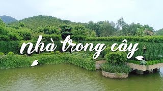 [4K] Nhà trong cây – Babylon House | Nhà Tôi 24 | @NHADEPTV