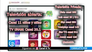 Estos son los horarios y los canales donde transmiten clases a nivel básico