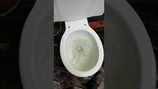 1957 Case Camel Toilet, Tests.