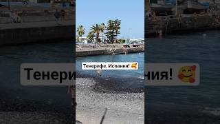 #short #shorts #shortsvideo #short #tenerife #испания #spain #travel #путешествие #путешествия #пляж