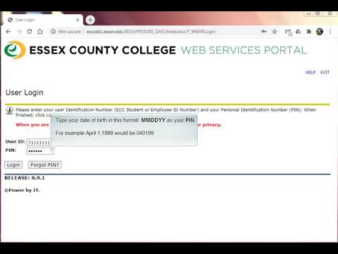 WEBSERVICES  How to login for the first time