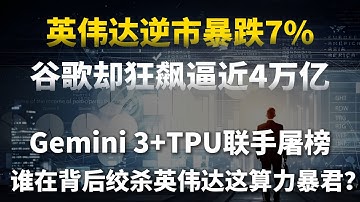 英伟达逆市暴跌7%！谷歌却狂飙逼近4万亿！Gemini 3+TPU联手屠榜！谁在背后绞杀英伟达这算力暴君？巨头围剿之下，普通人如何在这场万亿大洗牌中分一杯羹？核心策略全公开！#美股
