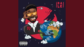 Celebrity Mr. Worldwide Net Worth