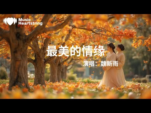 魏新雨《最美的情緣》『多情的下關風吹呀吹吹不幹千年的洱海我遇見你的那一天世上才有風花雪月十裏香上關花開呀開開不完相思的纏綿我相信最美的情緣不在天上在人間』【動態歌詞MV】