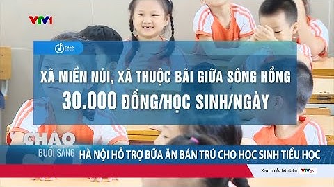 Hà Nội hỗ trợ bữa ăn bán trú cho học sinh tiểu học | Cụm tin | VTV24