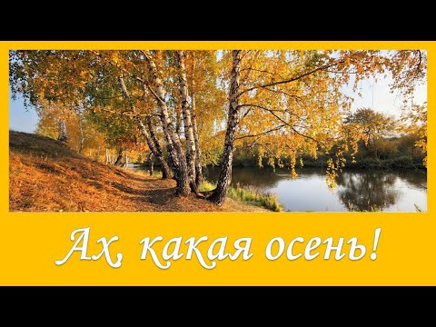 Караоке ах какая осень ах какая вся из желтых листьев золотая