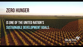 Solactive Agriculture Technology And Solactive Food Innovation Index Concepts