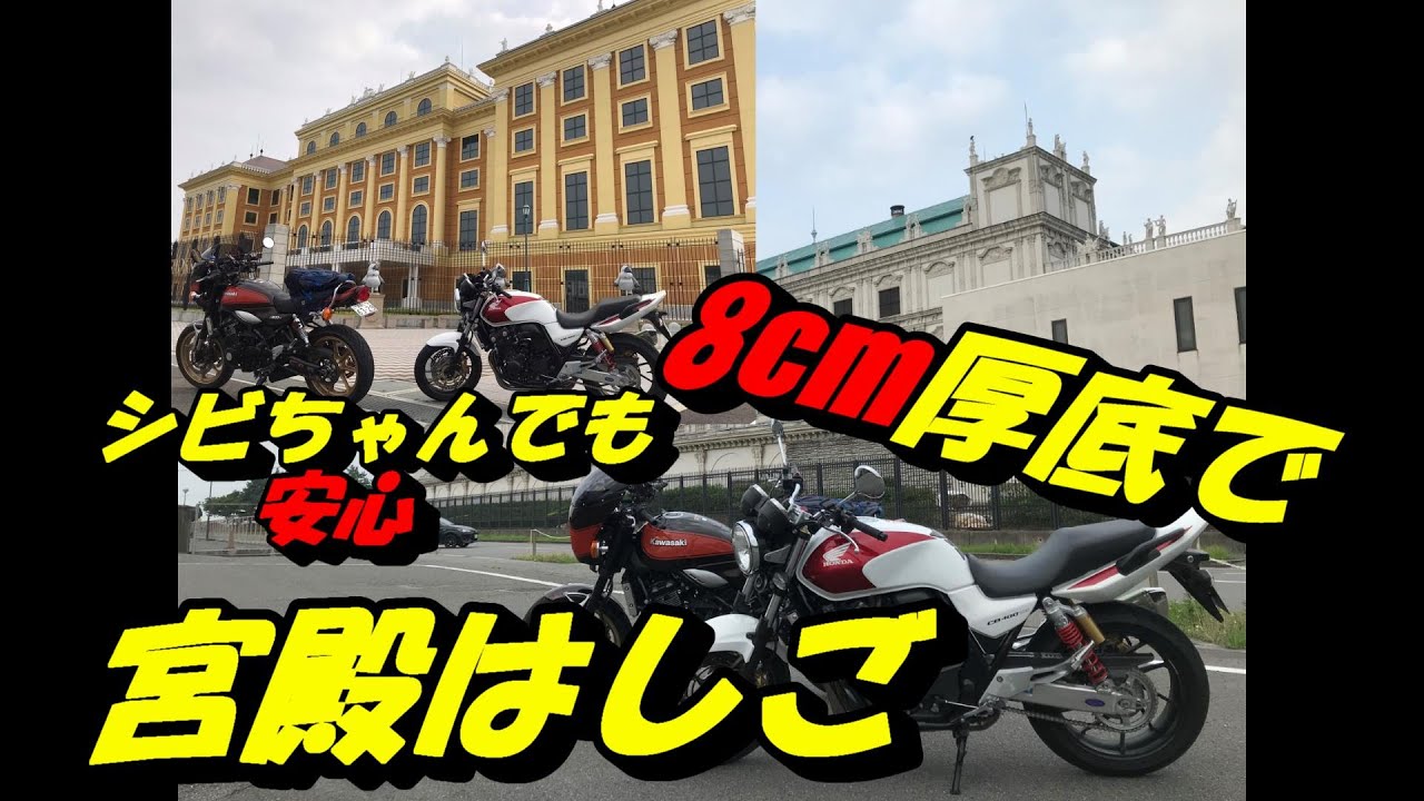 No.164 WILD WING: The 8cm thick sole makes riding Shibi-chan even