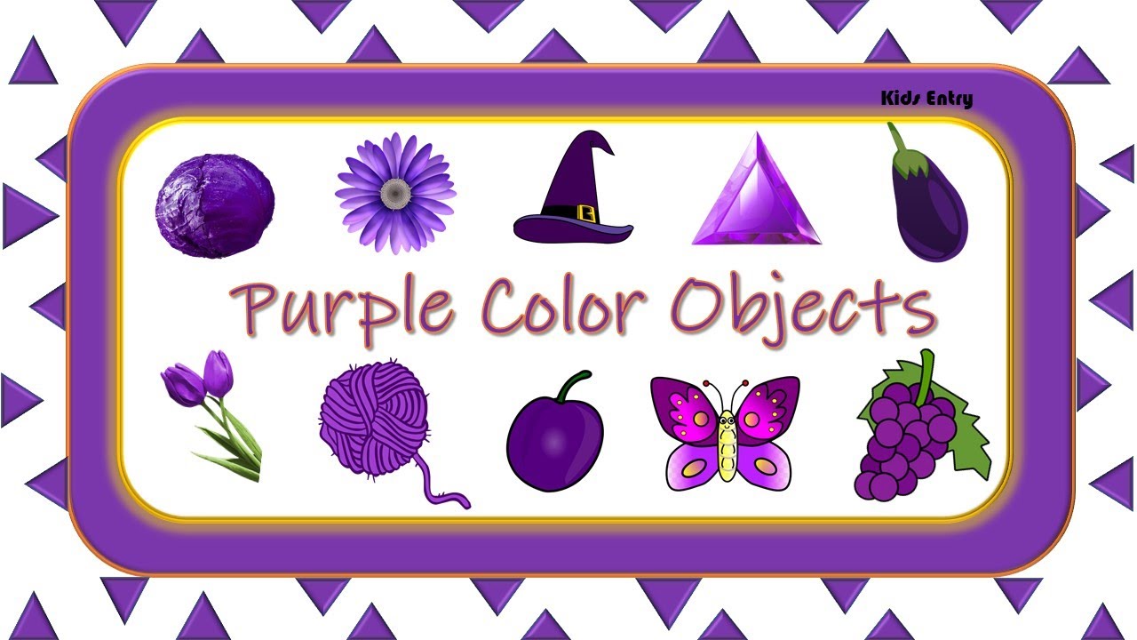 Purple Color Objects, Learn Color, Things that are in Purple color